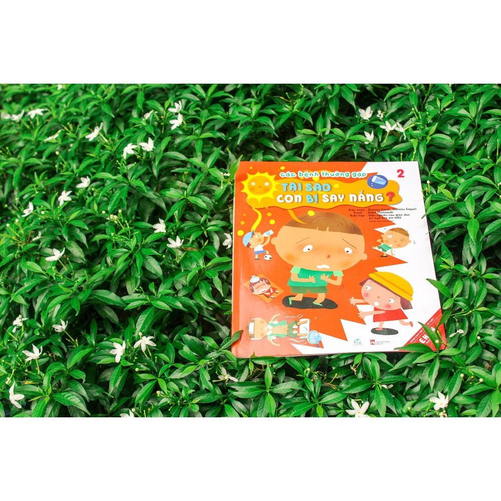 Sách Ehon Nhật Bản Combo Các bệnh thường gặp (5 cuốn)