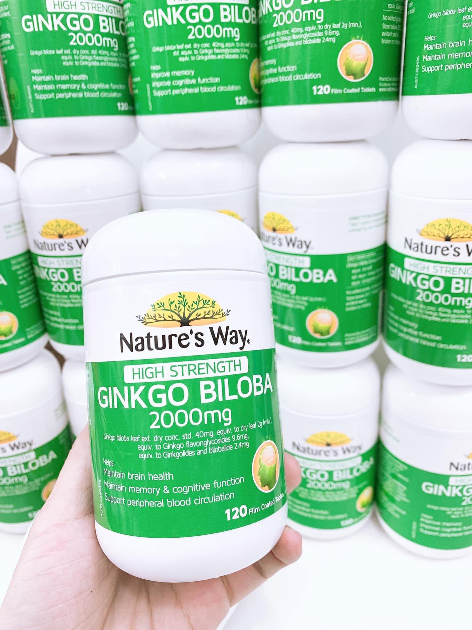 GINKGO BILOBA 2000 120 VIÊN