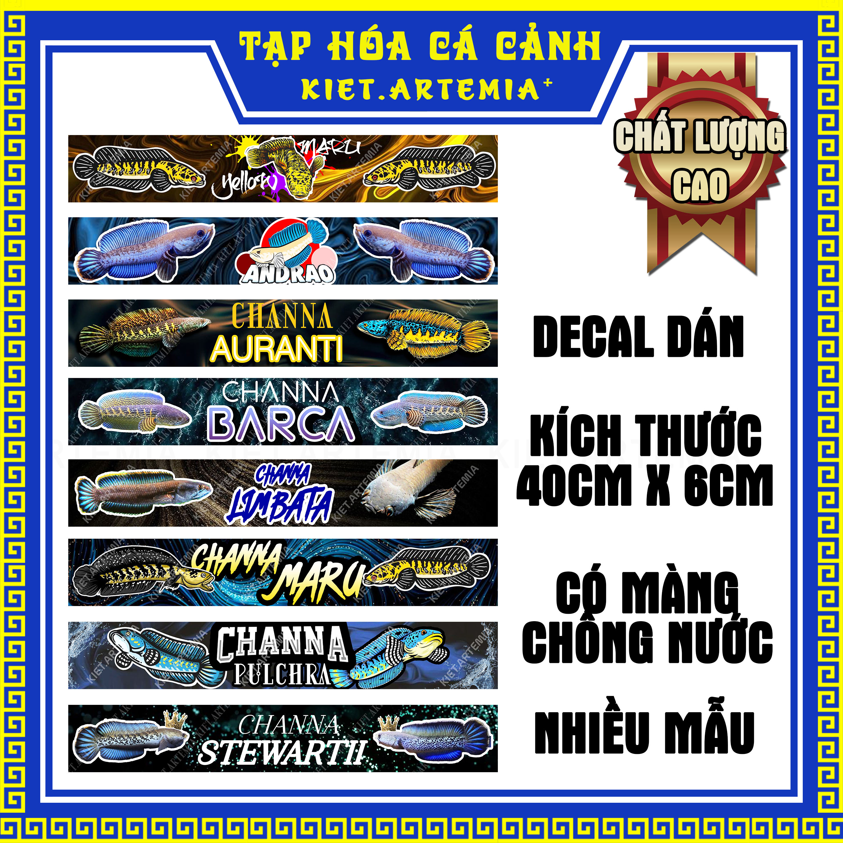 Decal Dán Bể Cá, Decal Hồ Cá Dành Cho Cá Lóc
