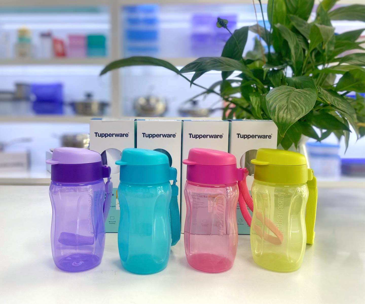 Bình Nước Tupperware Eco Bottle Gen II 310ml