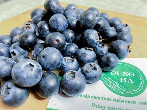 Quả Việt Quất hộp 125g