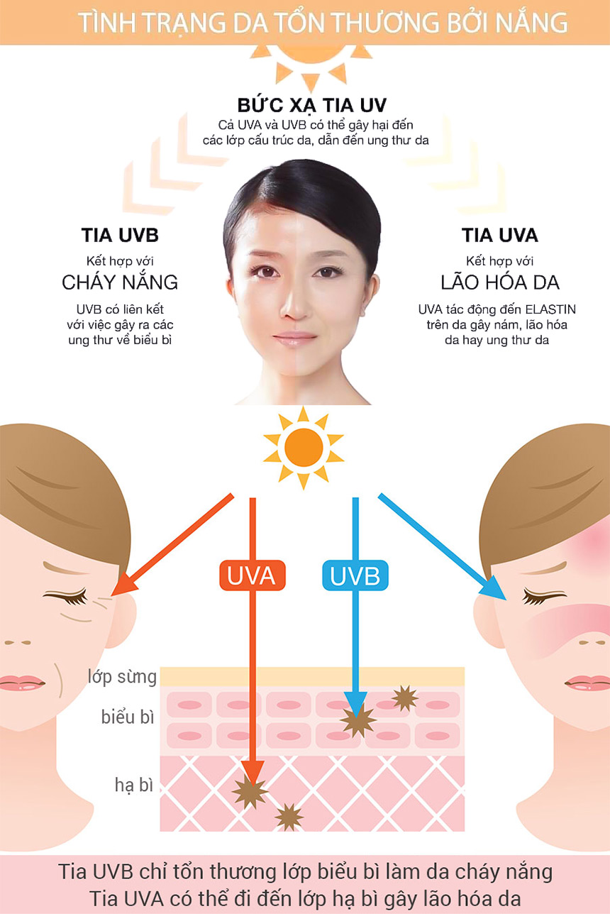 Kem Chống Nắng Vacci - Vacci Luxe Collection Sun Cream SPF 70 PA+++ (70ml)
