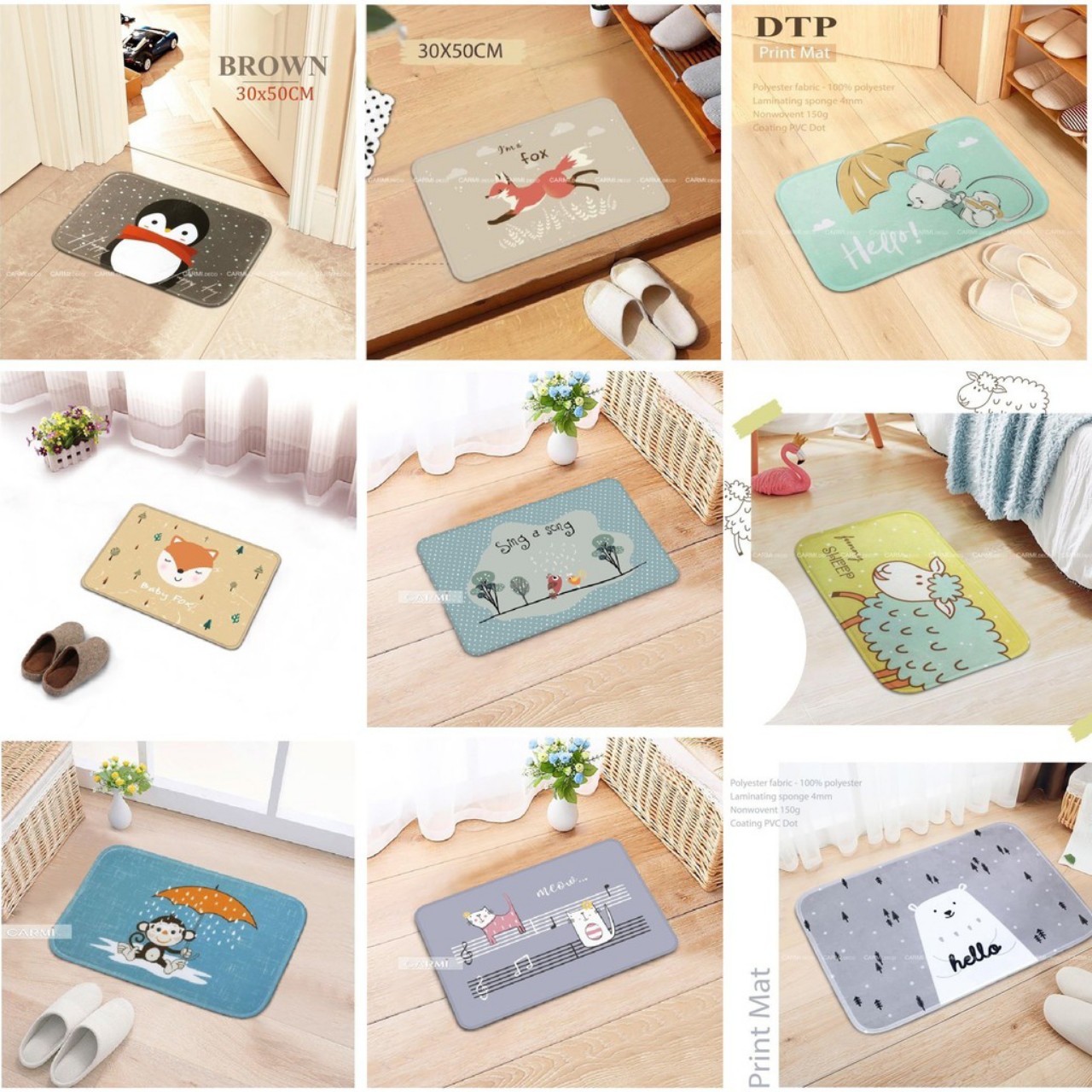 Thảm chùi chân CARMI 30*50 (nhiều mẫu)