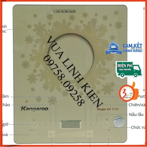 Mặt kính bếp từ Kangaroo KG419i
