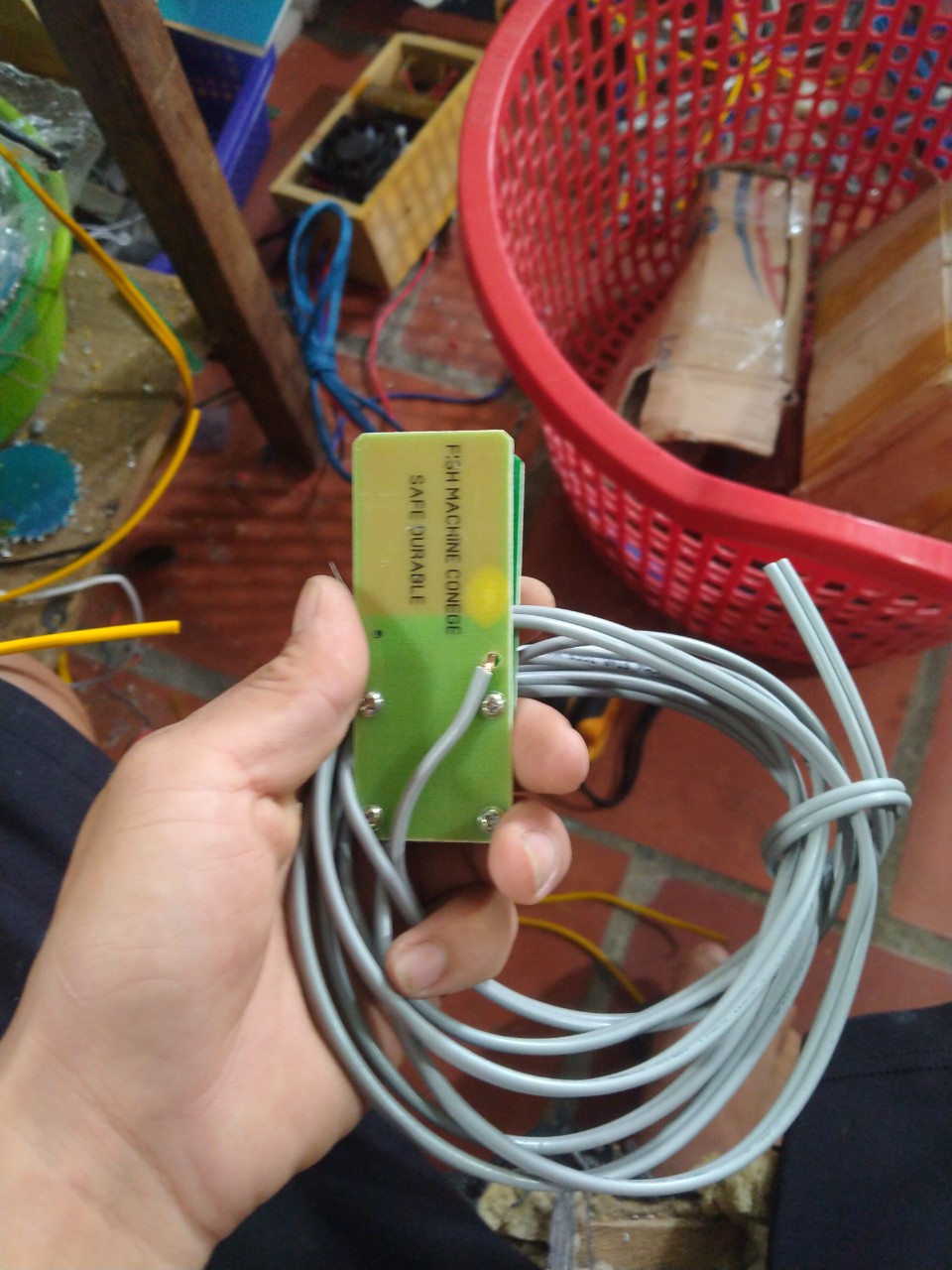 dây cò bớp lớn
