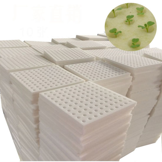 ATP Farm - Mút xốp 96v trồng thủy canh ( Việt Nam )