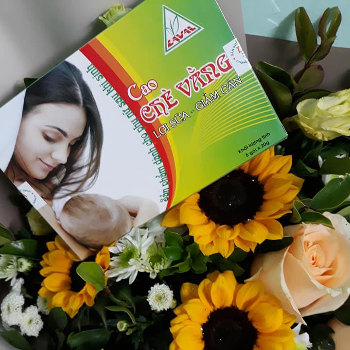 Cao chè vằng Lava giảm cân, lợi sữa