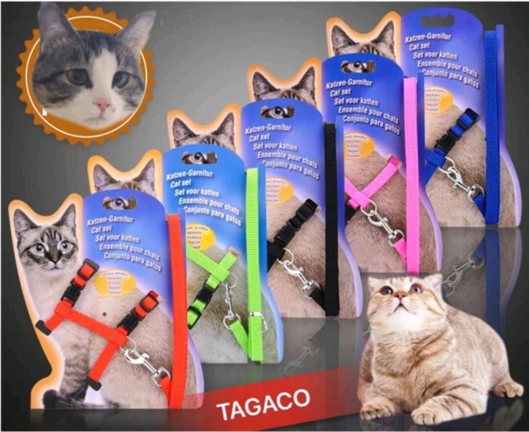 Dây dắt yếm cho chó mèo cao cấp