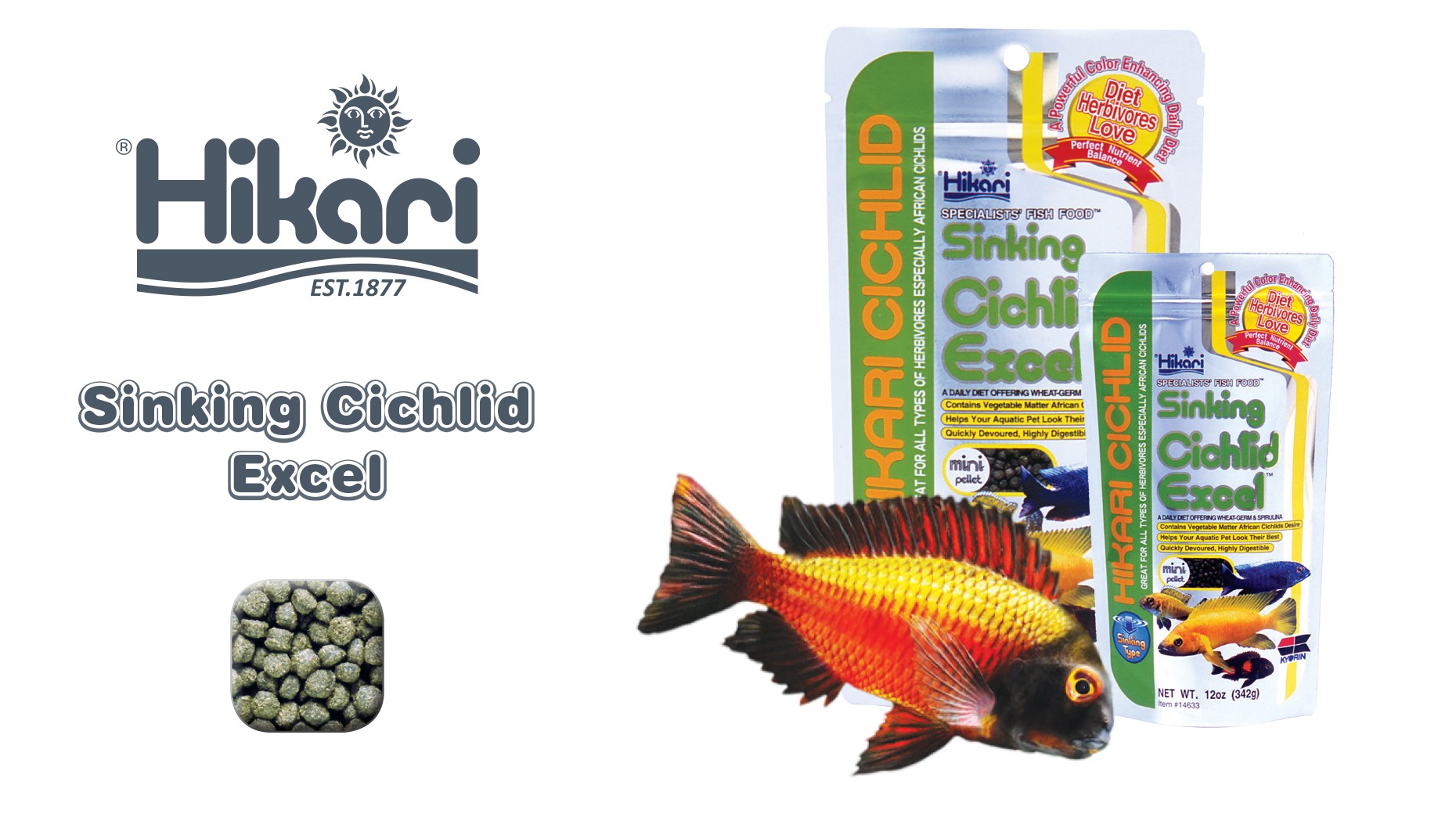 Thức ăn cho cá Ali Hikari Sinking Cichlid Excel 342g hạt chìm Nhật