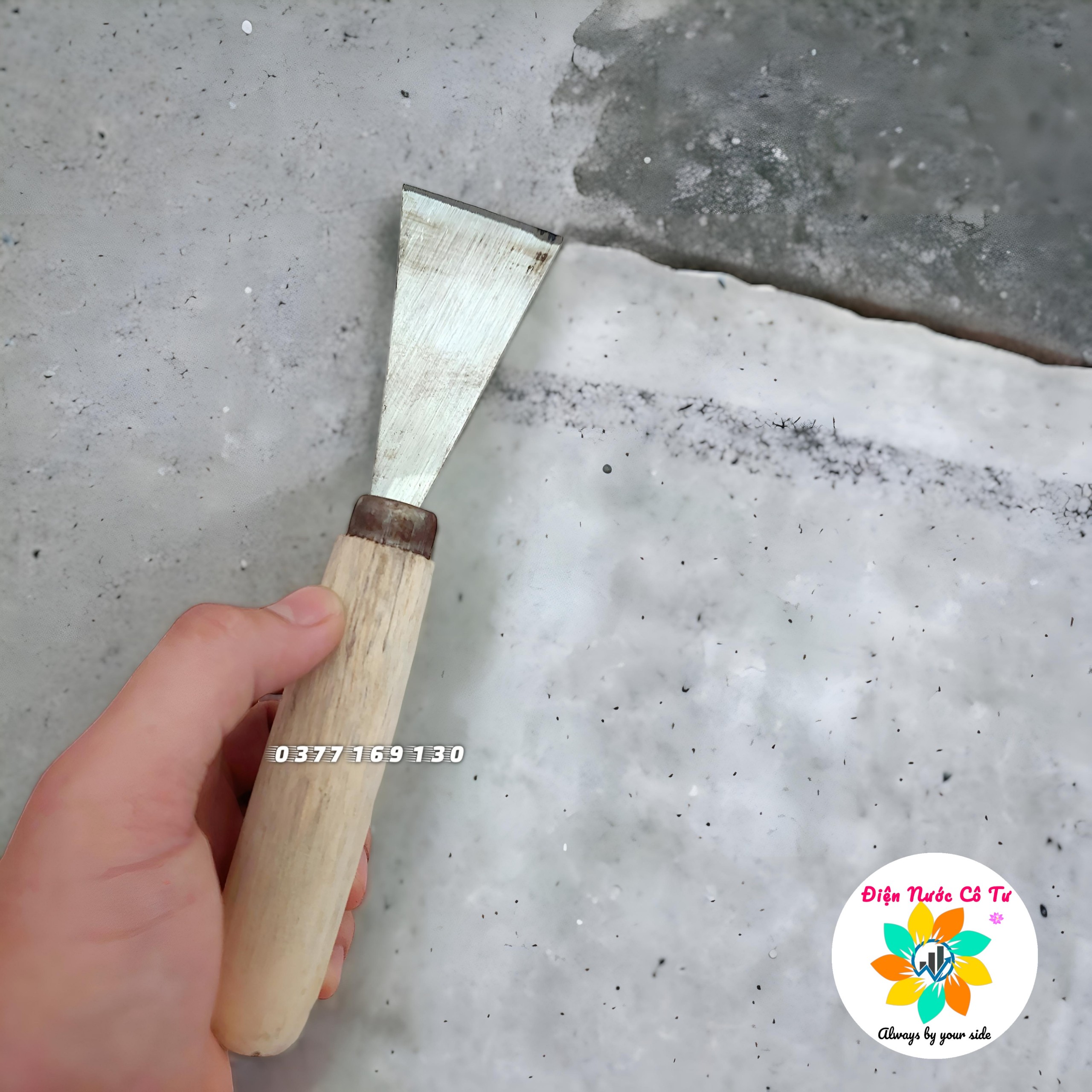 Sủi tường sủi sơn Nam Long