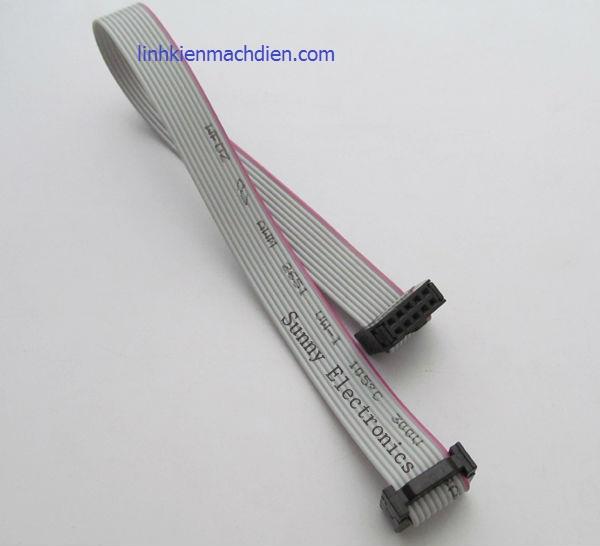 [HCM]Dây Cable FC10P 20cm
