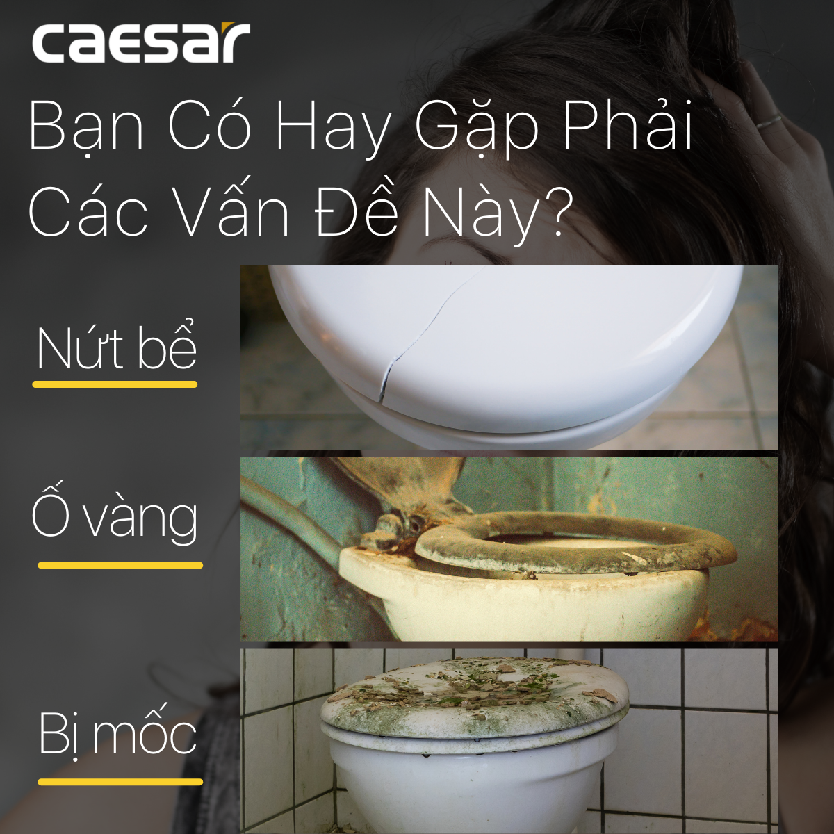 Nắp Êm - MS220