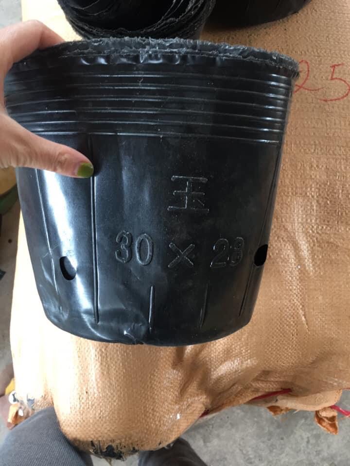 1 kg Túi ươm/Bầu ươm cây30 x28