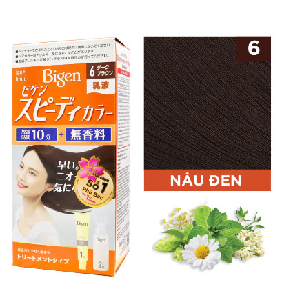 NHUỘM TÓC PHỦ BẠC BIGEN NỘI ĐỊA NHẬT (MÀU SỐ 6 - NÂU ĐEN)