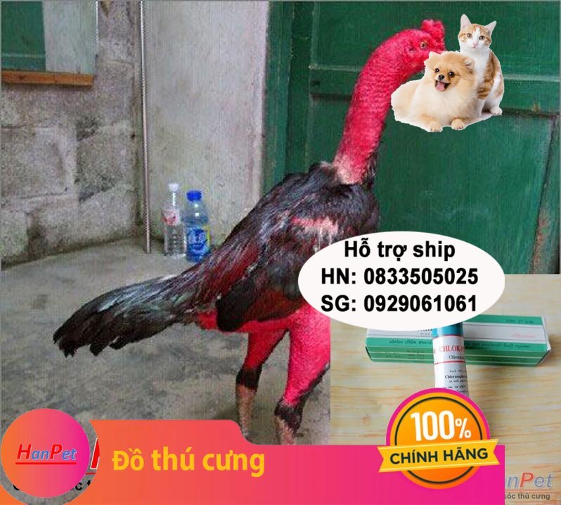 Hanpet - (Thu ốc GÀ CHỌI) Thu ốc tan đòn gà chọi, tan bết thương gà đá, nhanh liền da chiến kê dạng tuyp bôi 15gr - MADEIN THAILAN