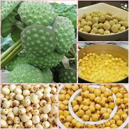 HẠT SEN KHÔ ĐỒNG THÁP 500g
