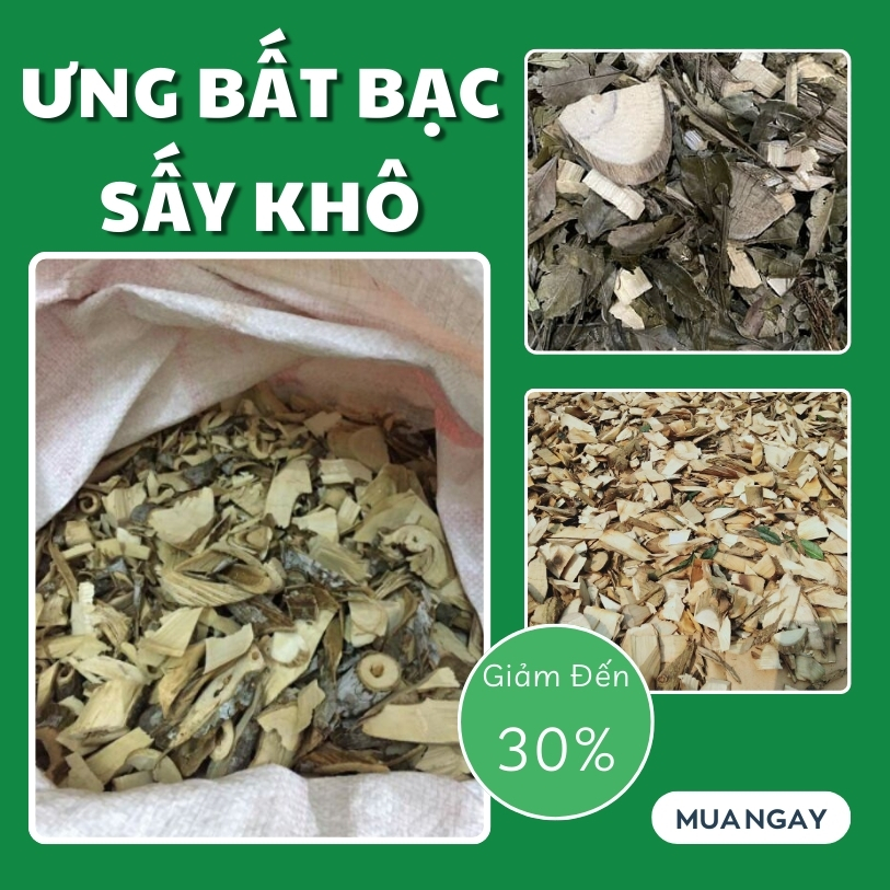 [Hàng mới nhập] Ưng bất bạc khô 500g - Tấn Phát - Chuyên dùng để sắc nước uống hoặc pha trà