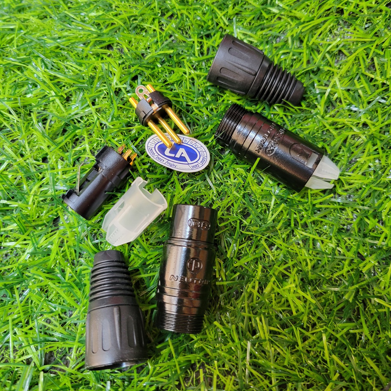 Jack Tín Hiệu Canong Neutrick Đực Cái