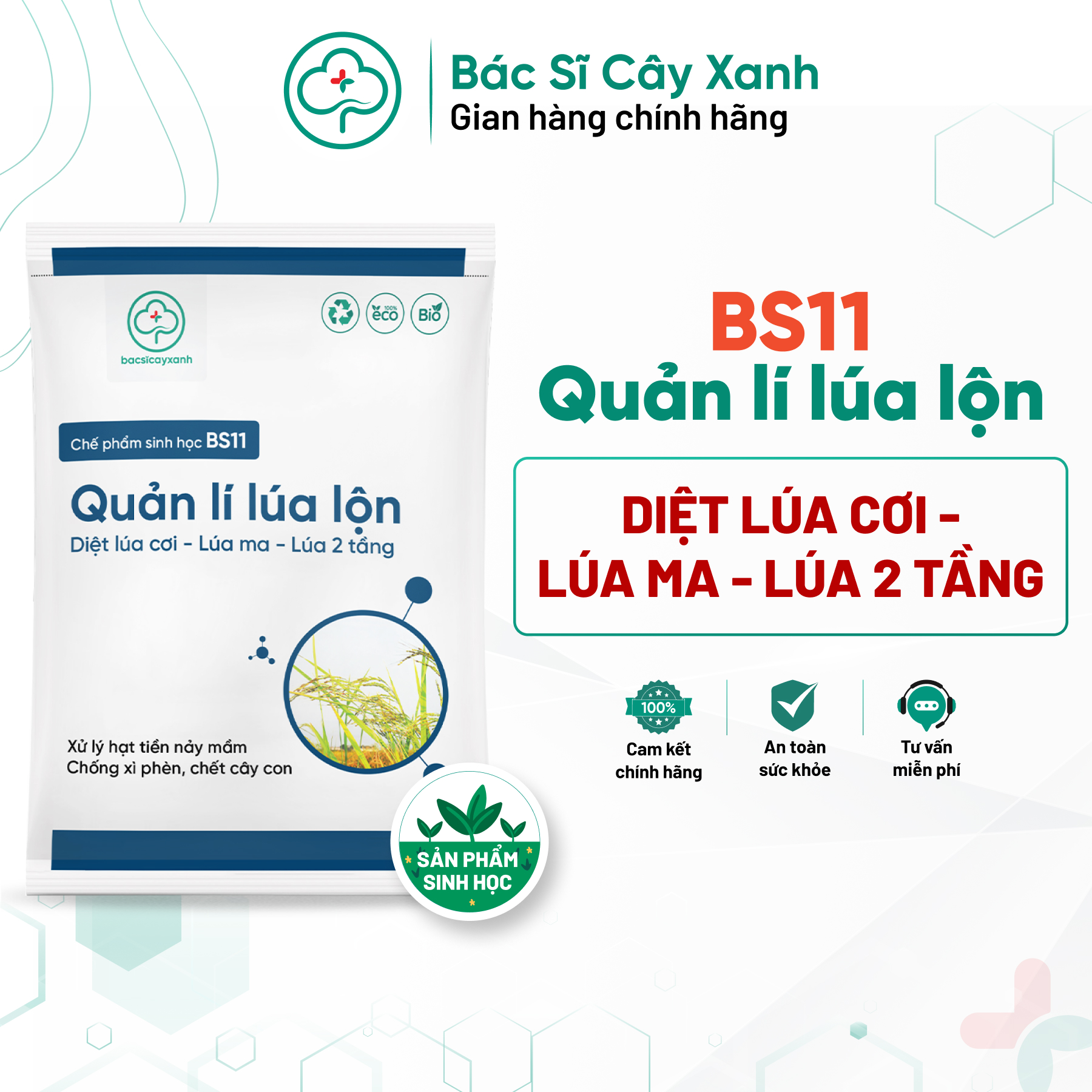 Chế Phẩm Quản Lý Lúa Lộn Lúa Cỏ Lúa Ma BS11 500g - Chống Xì Phèn Không Ảnh Hưởng Lúa Sạ - Bác Sĩ Cây Xanh