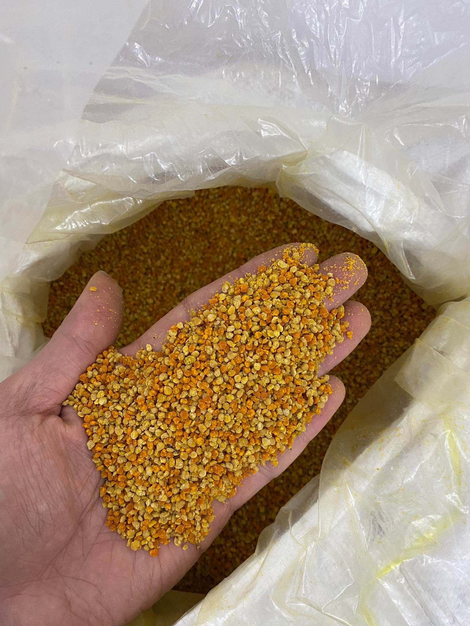 1kg phấn hoa cỏ kim