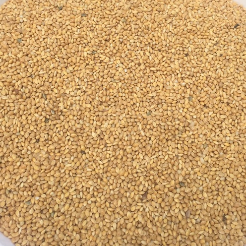 Hạt Kê vàng lớn dành cho vẹt nhỏ, yến hot, finch , yến phụng, lovebird 1kg