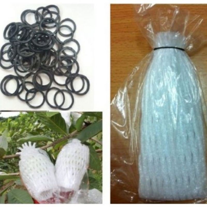 100 túi xốp bọc ổi đã lồng sẵn nilon và chun
