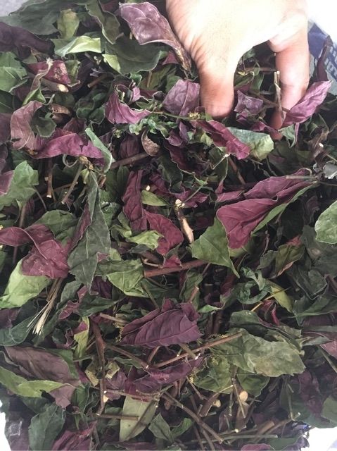 1kg Lá đơn đỏ (khô sạch)