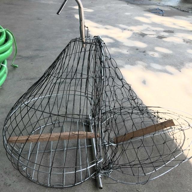 Lồng bẫy chim cu gáy, bìm bịp