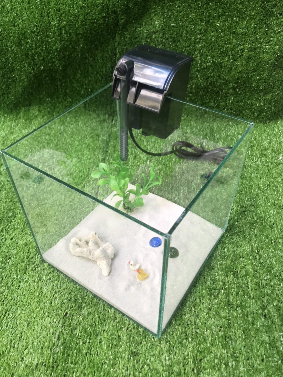 bể cá cubic - combo - bể cá mini
