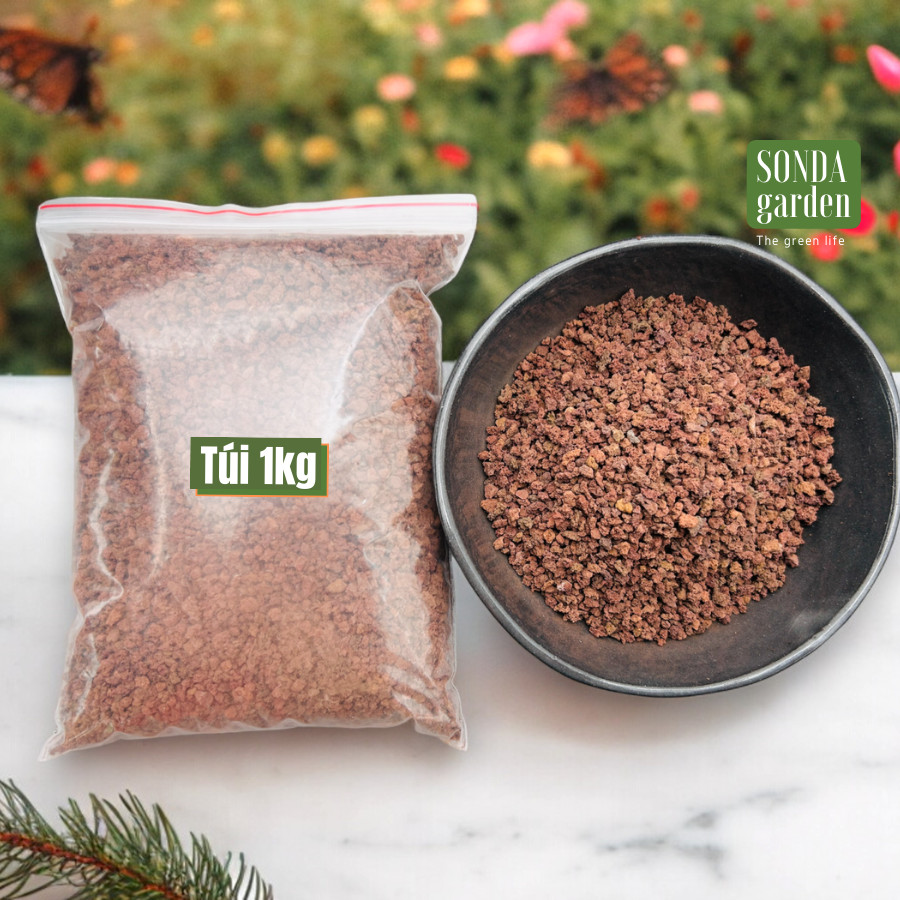 ĐÁ NHAM THẠCH ĐỎ (1kg) SIÊU PHẨM CHO SEN ĐÁ