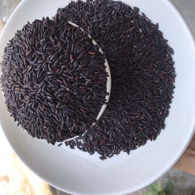 sỉ toàn quốc 2kg gạo nếp cẩm tím than