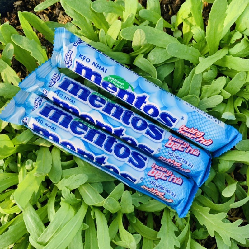 ( Gói 16 thỏi ) Kẹo nhai Mentos Hương Bạc Hà