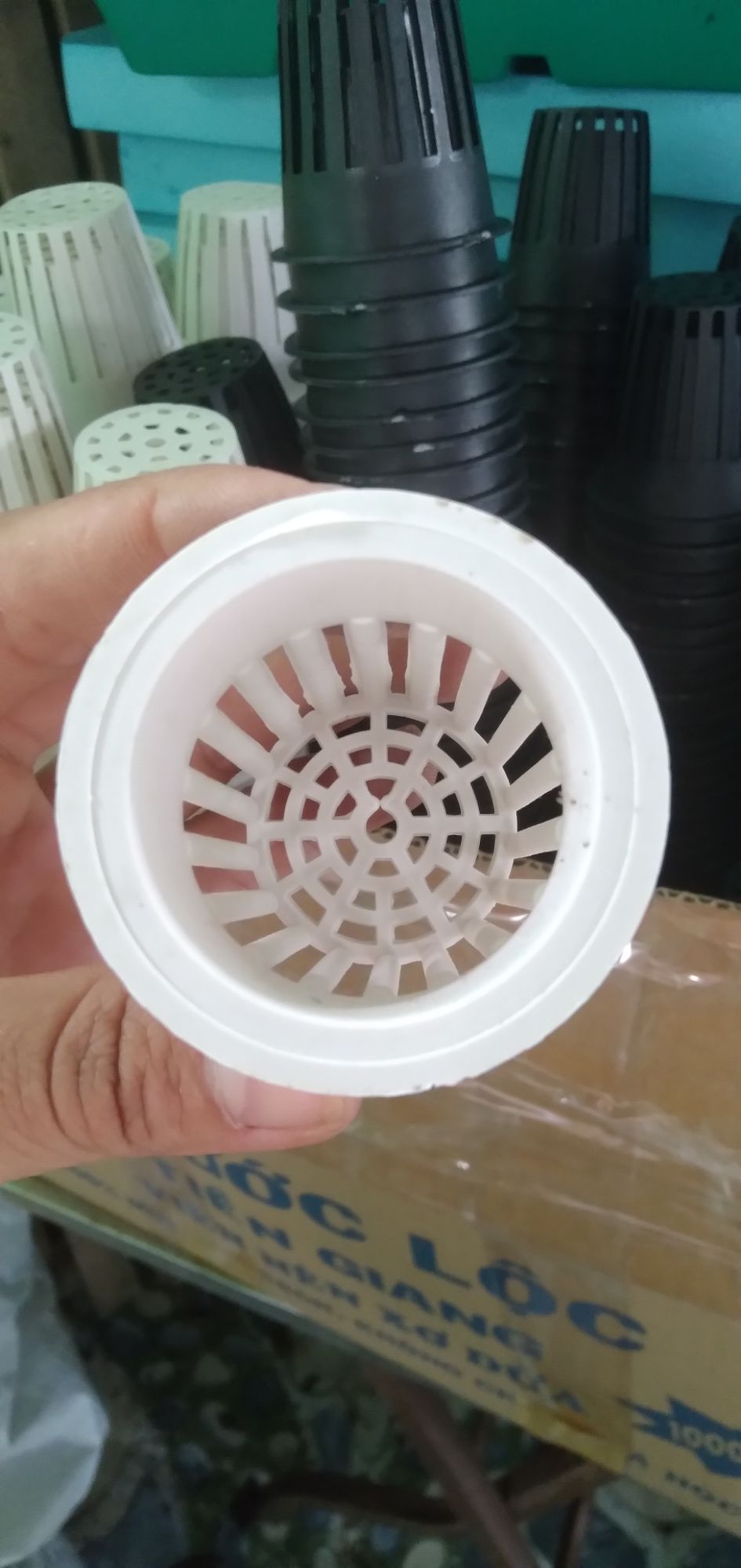 [HCM]Rọ phi 65 chuyên trồng rau thủy canh ( 100 rọ)