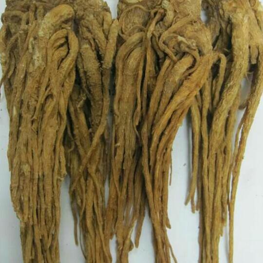 1kg sâm đương quy củ khô