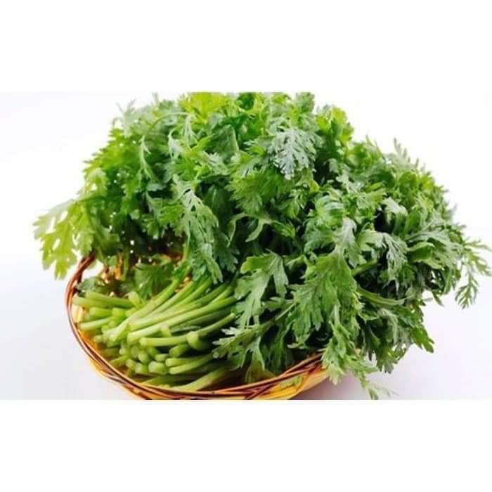 Hạt giống rau tần ô ( rau cải cúc) Gói 20 gram