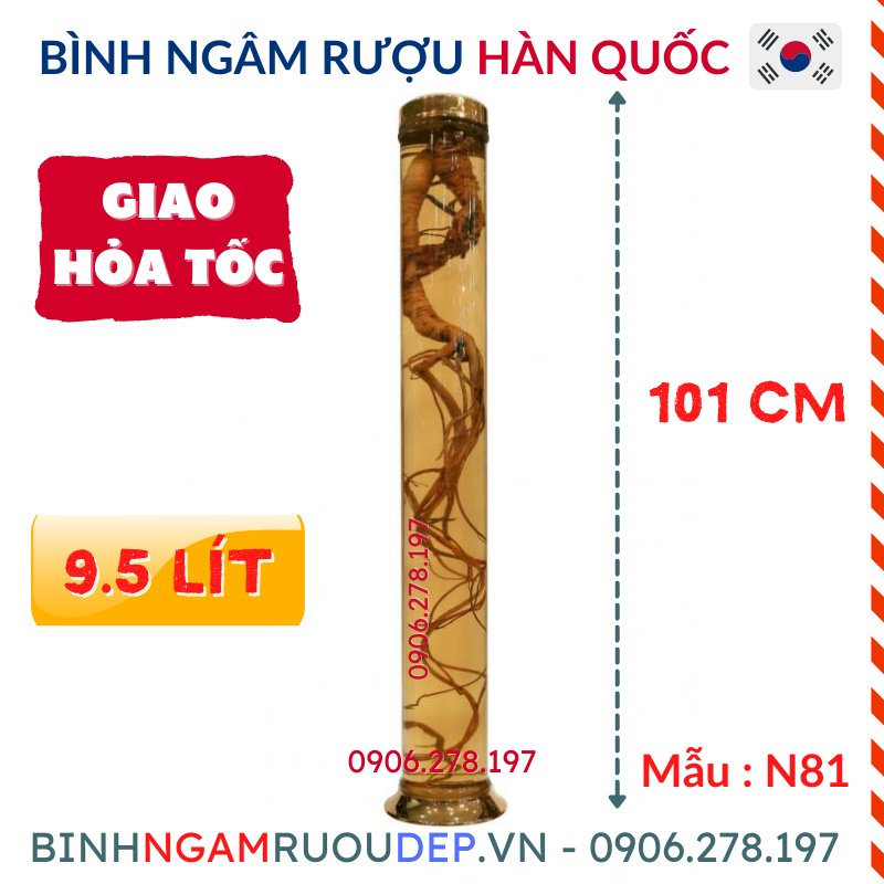 Bình ngâm rượu hàn quốc 9.5l bình rượu đẹp thủy tinh pha lê no81 - mã : no81