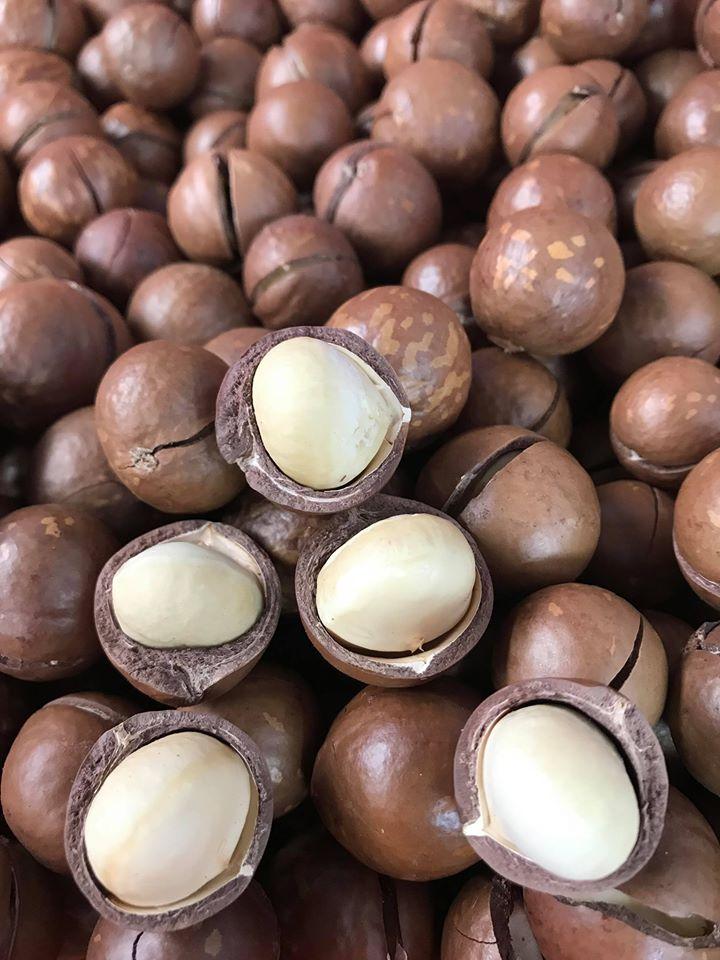 Hộp 500gr hạt Macca Nhập Khẩu Úc TGMS24H
