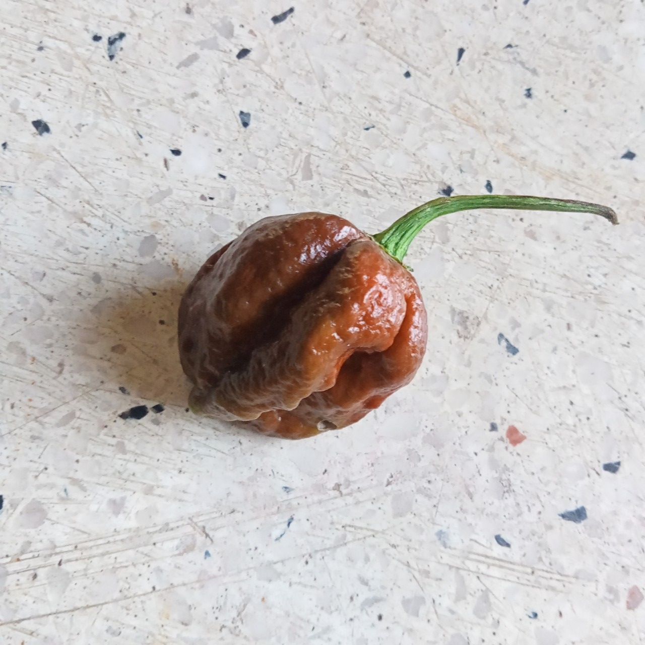 3 Hạt Ớt Big Mama Caramel