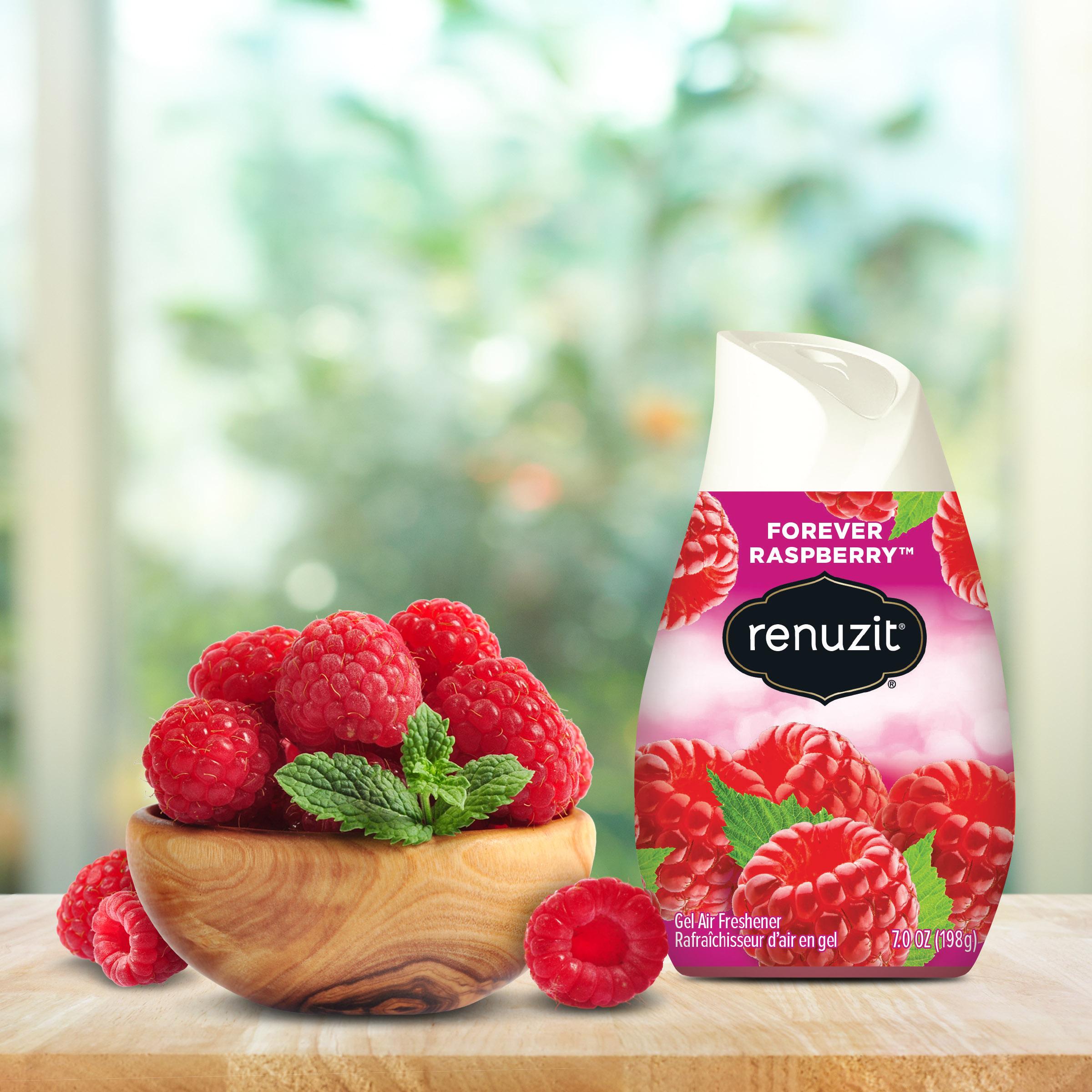 Combo 12 Sáp Thơm Phòng Renuzit Forever Raspberry 198g