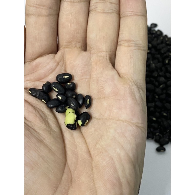1 kg đậu đen lòng xanh sạch organic (hàng loại 1)