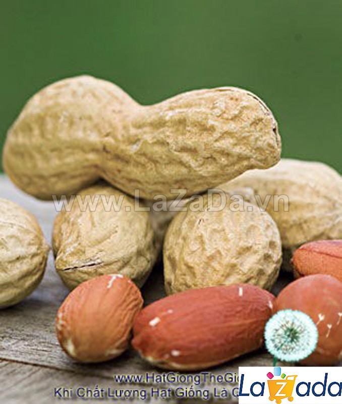 5Gr Hạt Giống Đậu Phộng (A2.304| Z2*W54*M133)