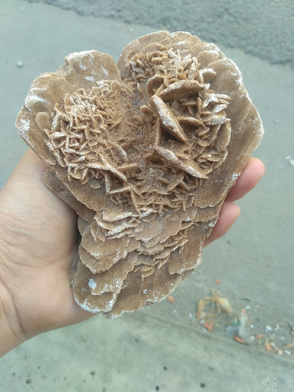 1 Viên Đá Hoa Hồng Sa mạc