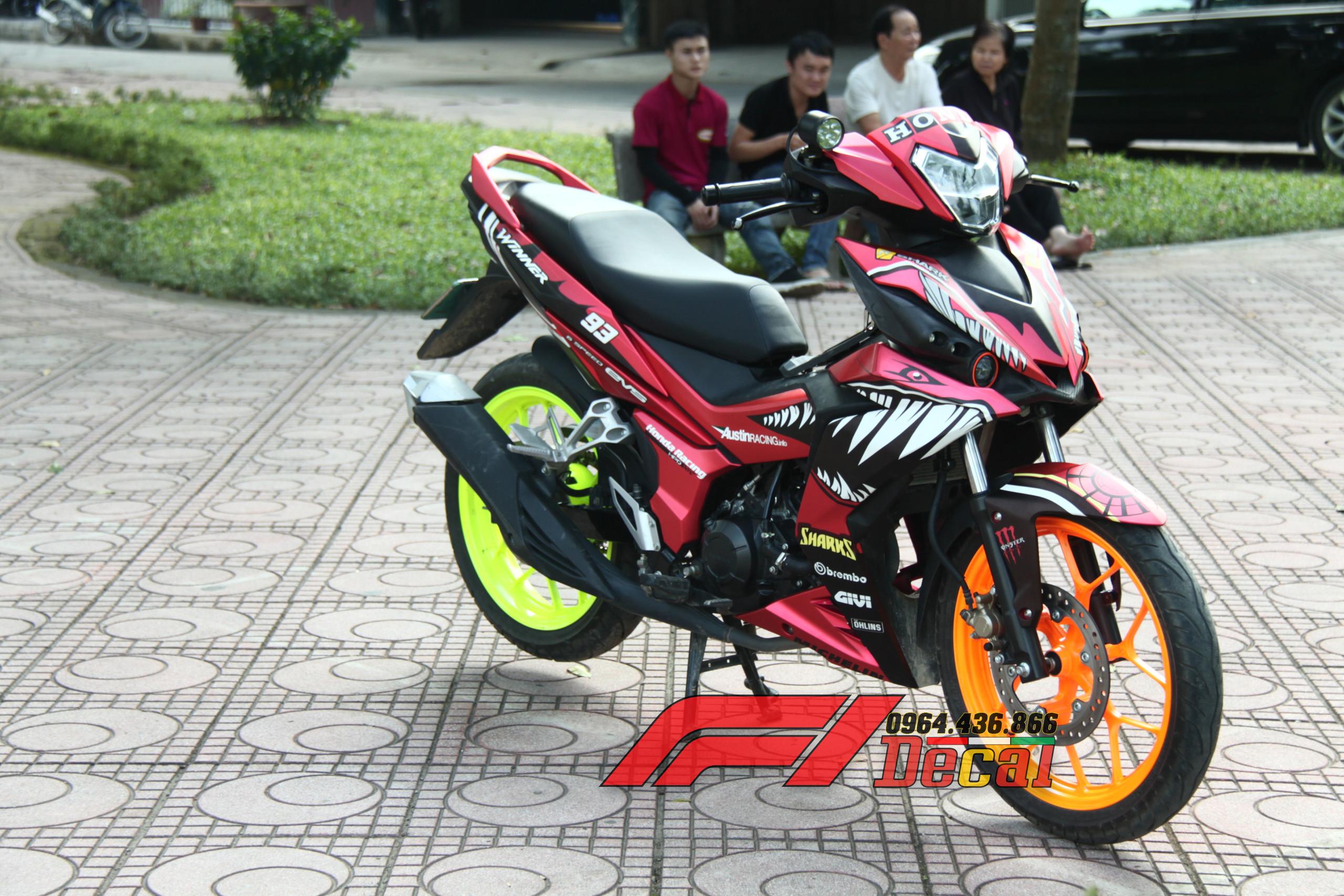 Tem trùm xe winner cá mập