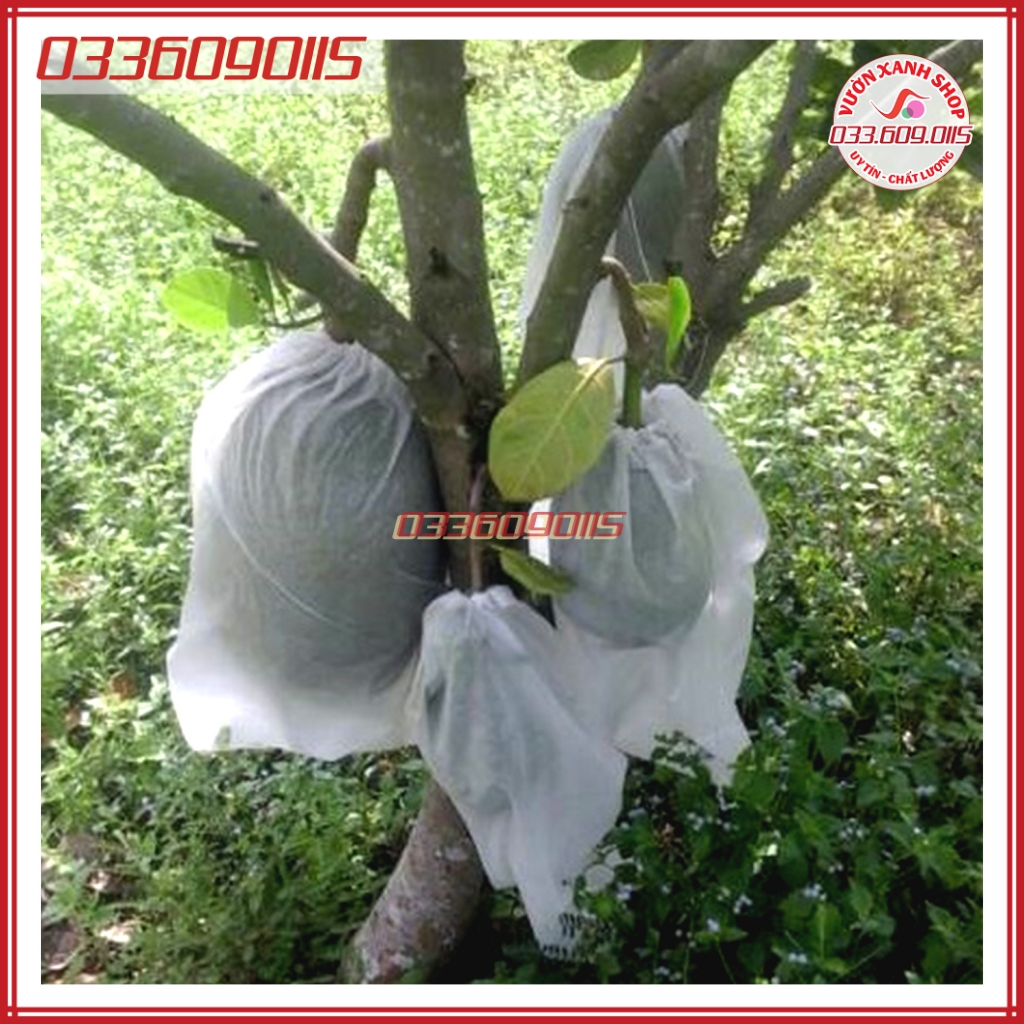 Combo 50 Túi lưới bọc mít chống côn trùng, kích thước 50x70 cm, lưới loại 1 bền chắc, không ngấm nước