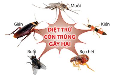 Xịt Muỗi Diệt Côn Trùng Số 9 Thể Tích 600ml