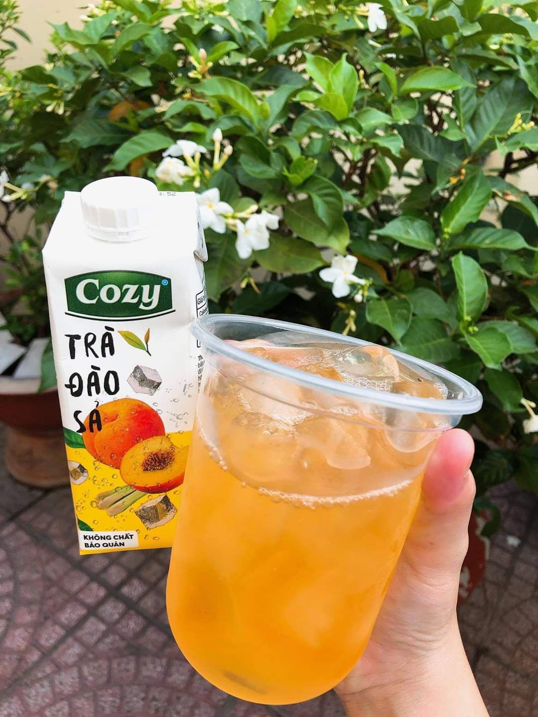 COMBO 3 thùng trà cozy 3 vị