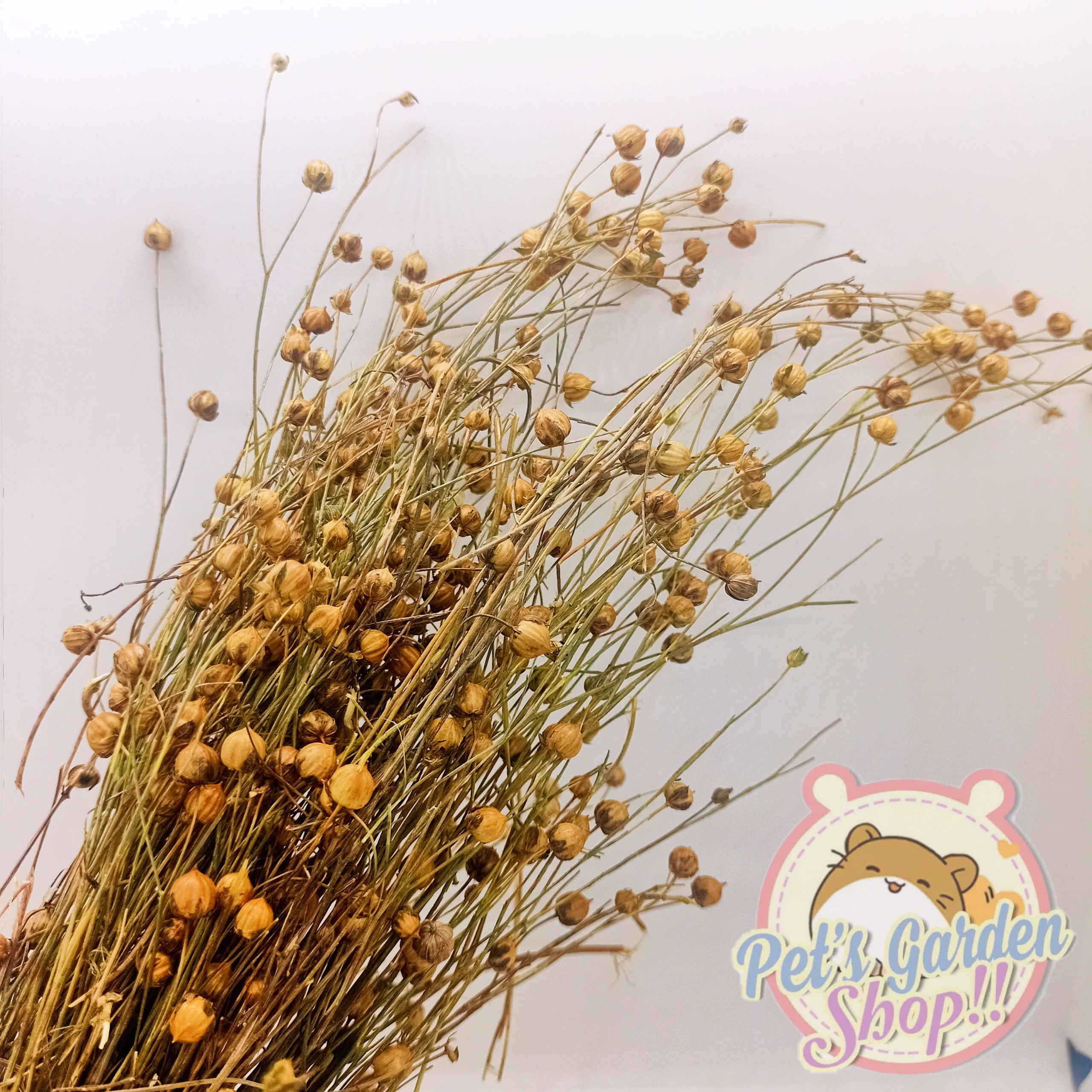Cành lanh nguyên hạt - Thức ăn cho hamster