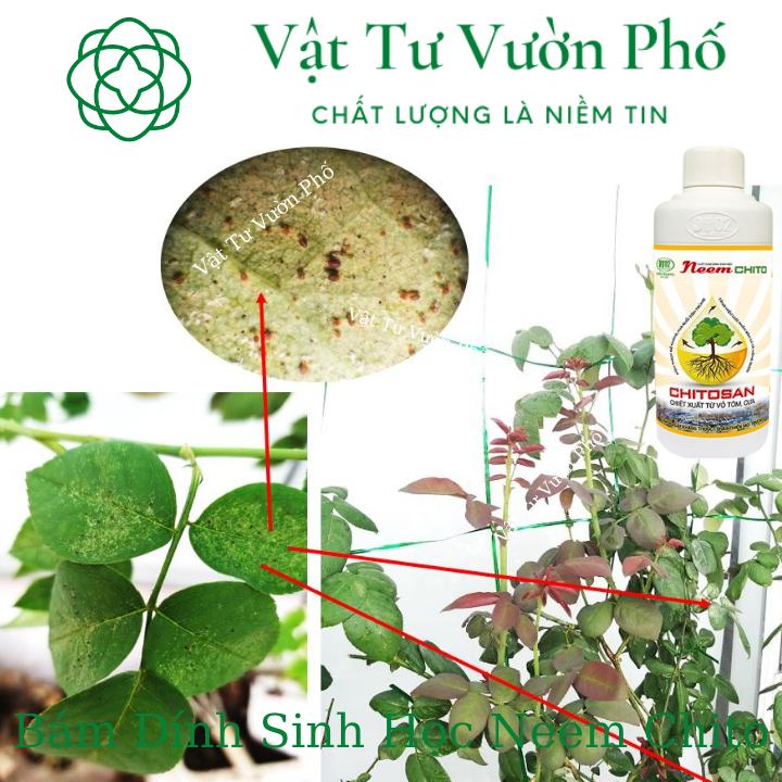 Bám Dính Sinh Học Neem Chito DT2 Điền Trang
