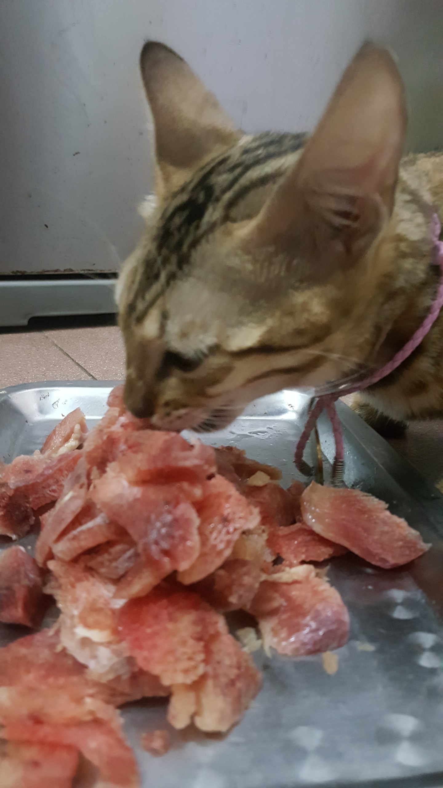 Ức Gà Ngạt Loại 2