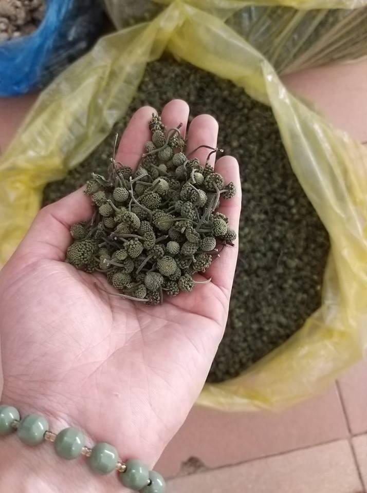 [HCM]Nụ hoa tam thất - Nụ bao tử LOẠI 1 ( gói 100g)